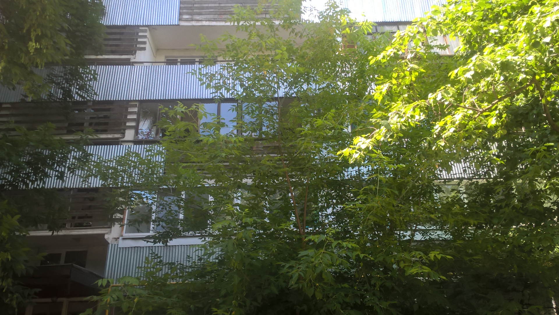 3-комнатная квартира, 63.8 м² - фото 2