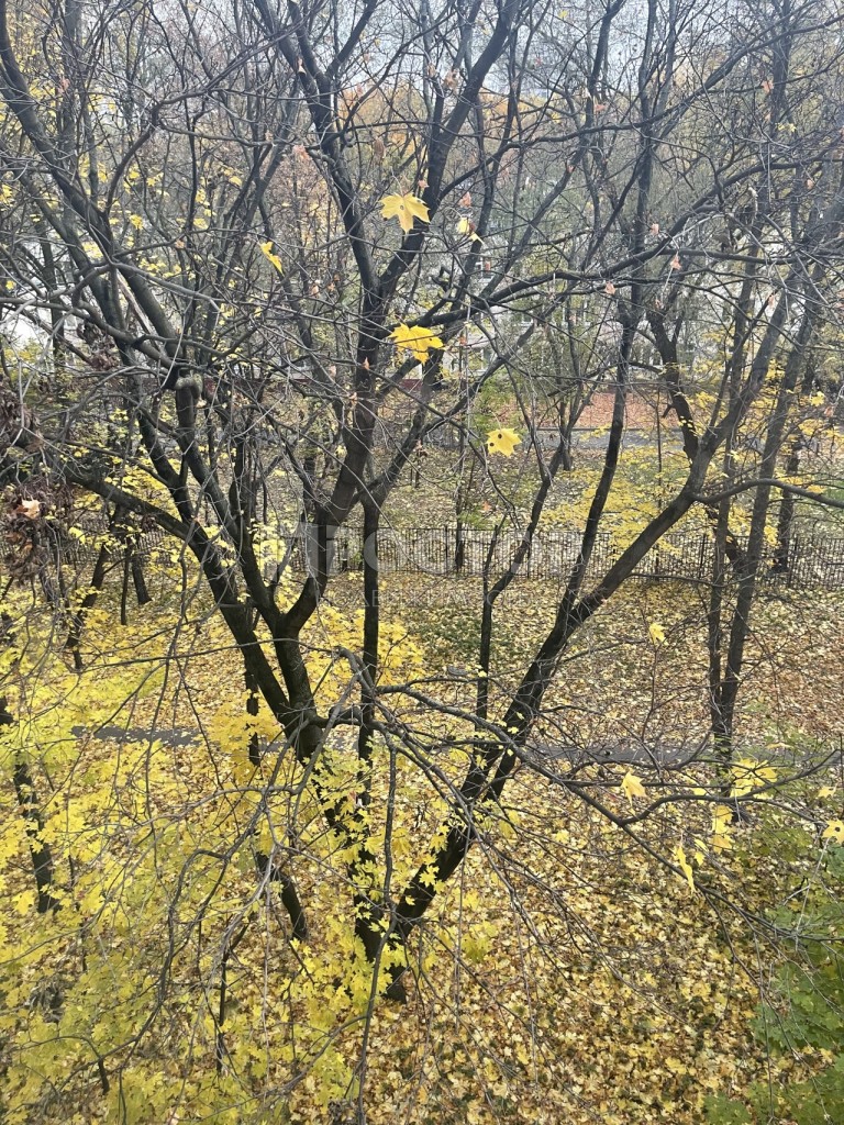 3-комнатная квартира, 58.4 м² - фото 21