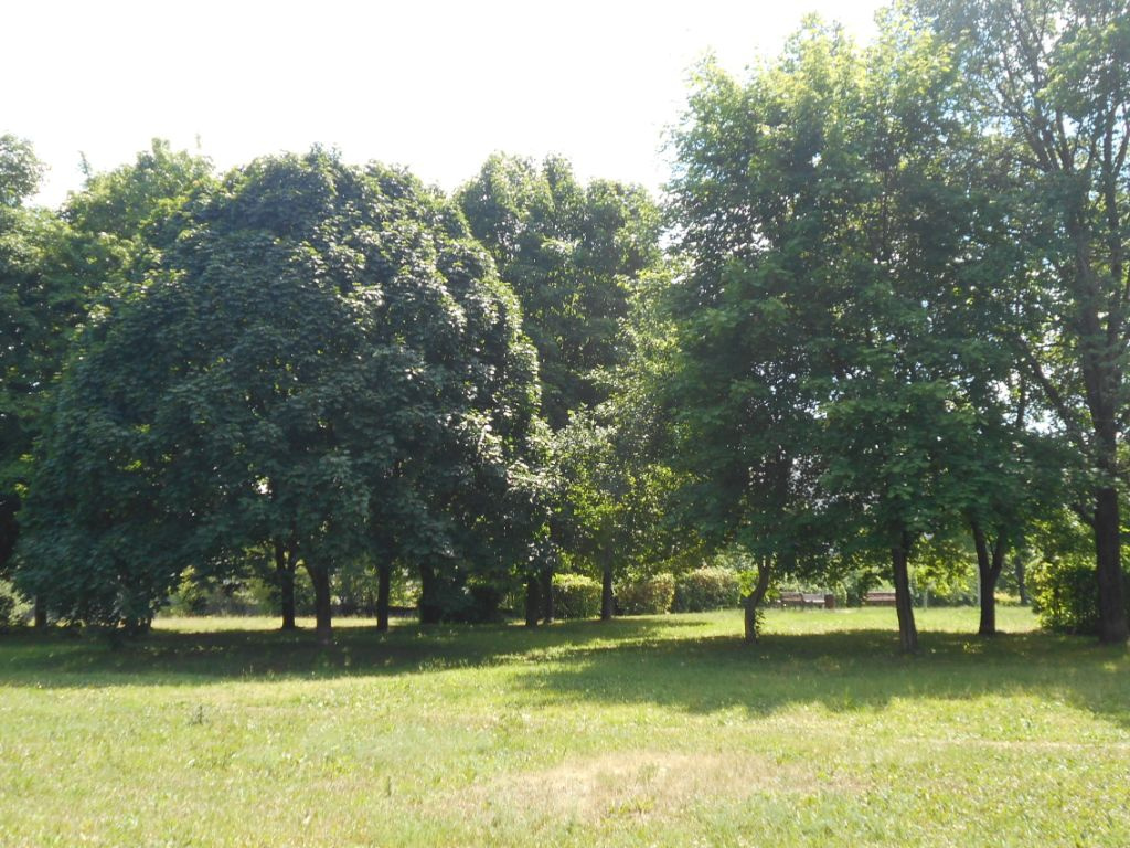 2-комнатная квартира, 49 м² - фото 19