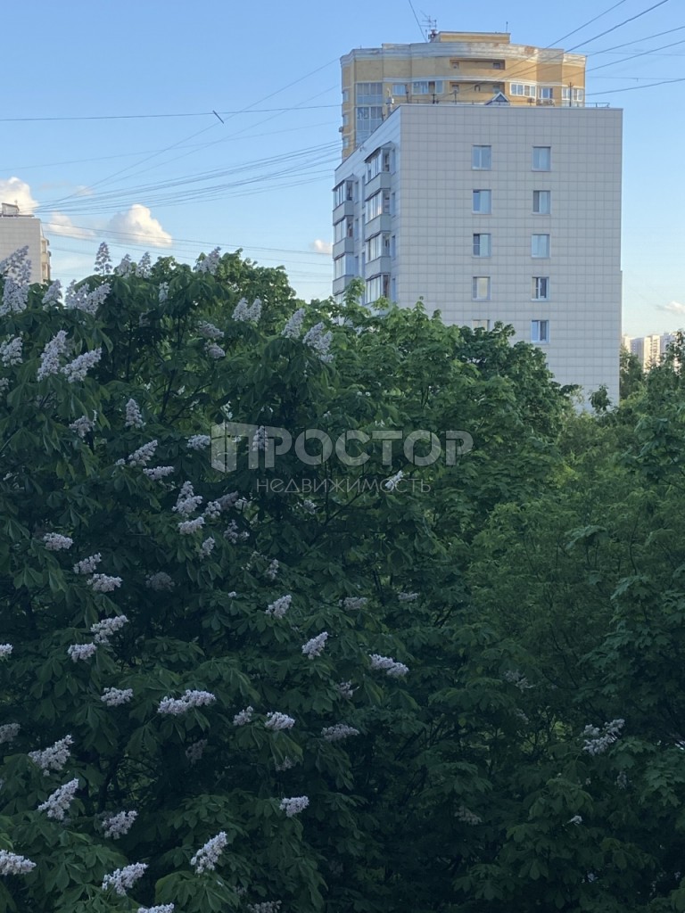 2-комнатная квартира, 40 м² - фото 13