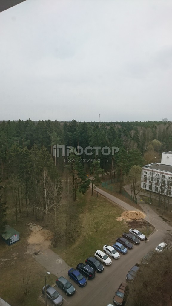 2-комнатная квартира, 50.8 м² - фото 7