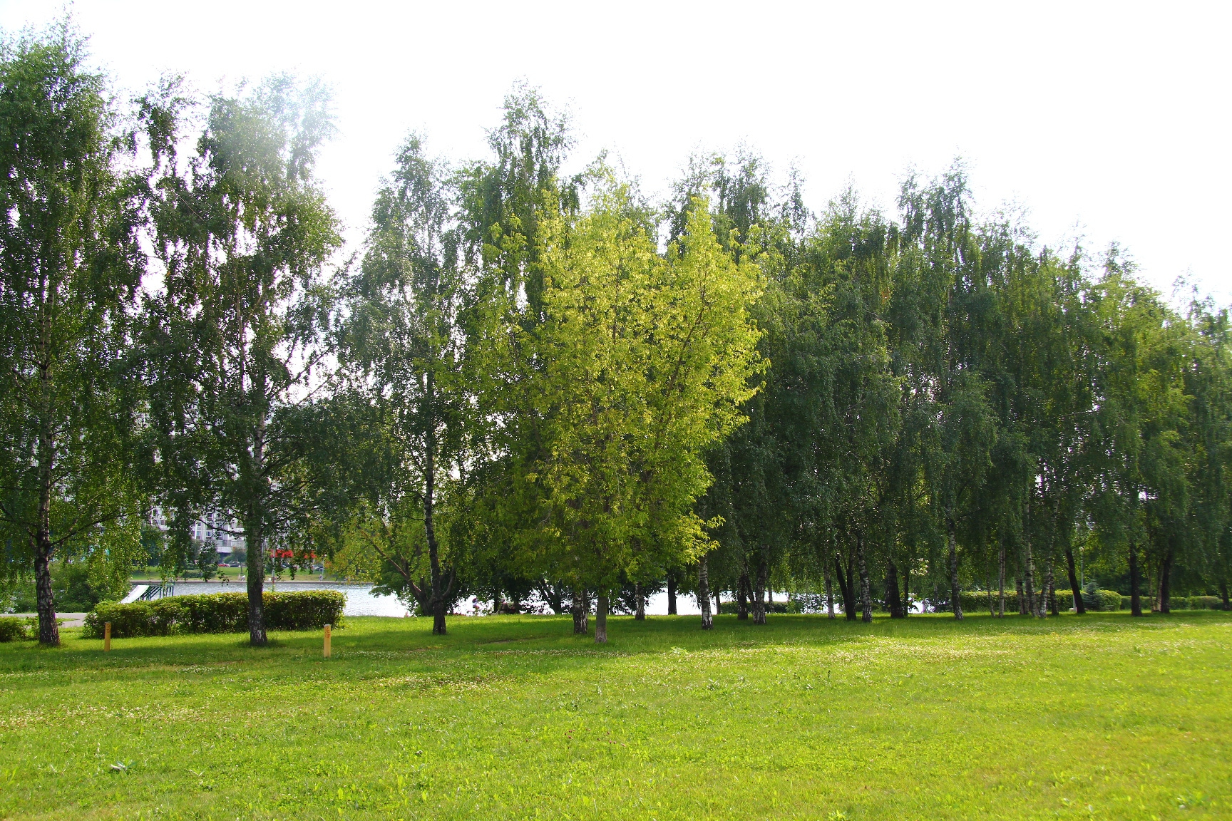 1-комнатная квартира, 34.5 м² - фото 20