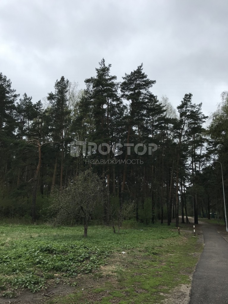 1-комнатная квартира, 35 м² - фото 4