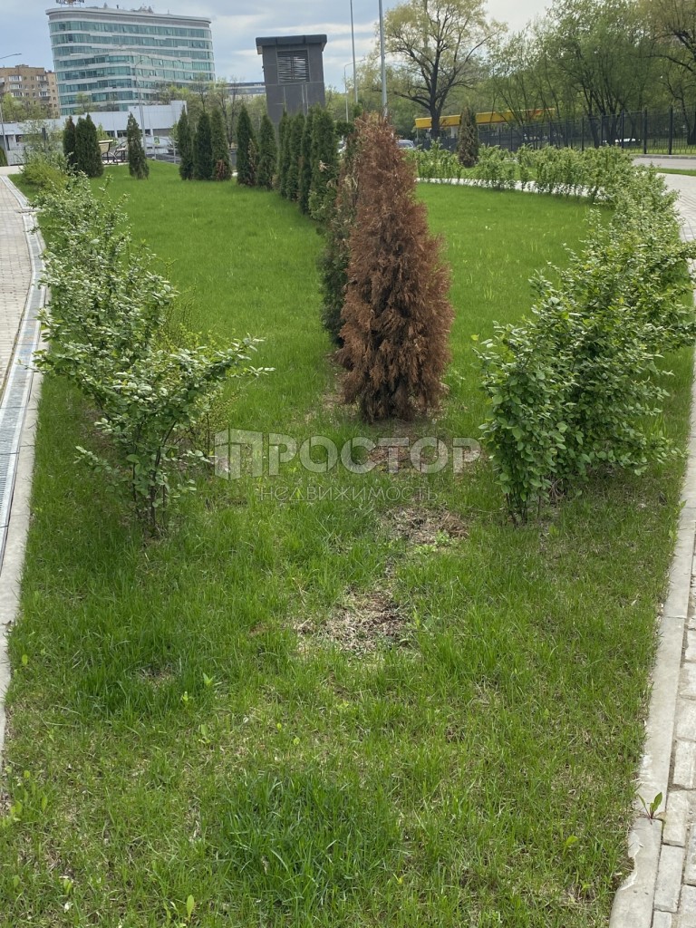 3-комнатная квартира, 92.8 м² - фото 21