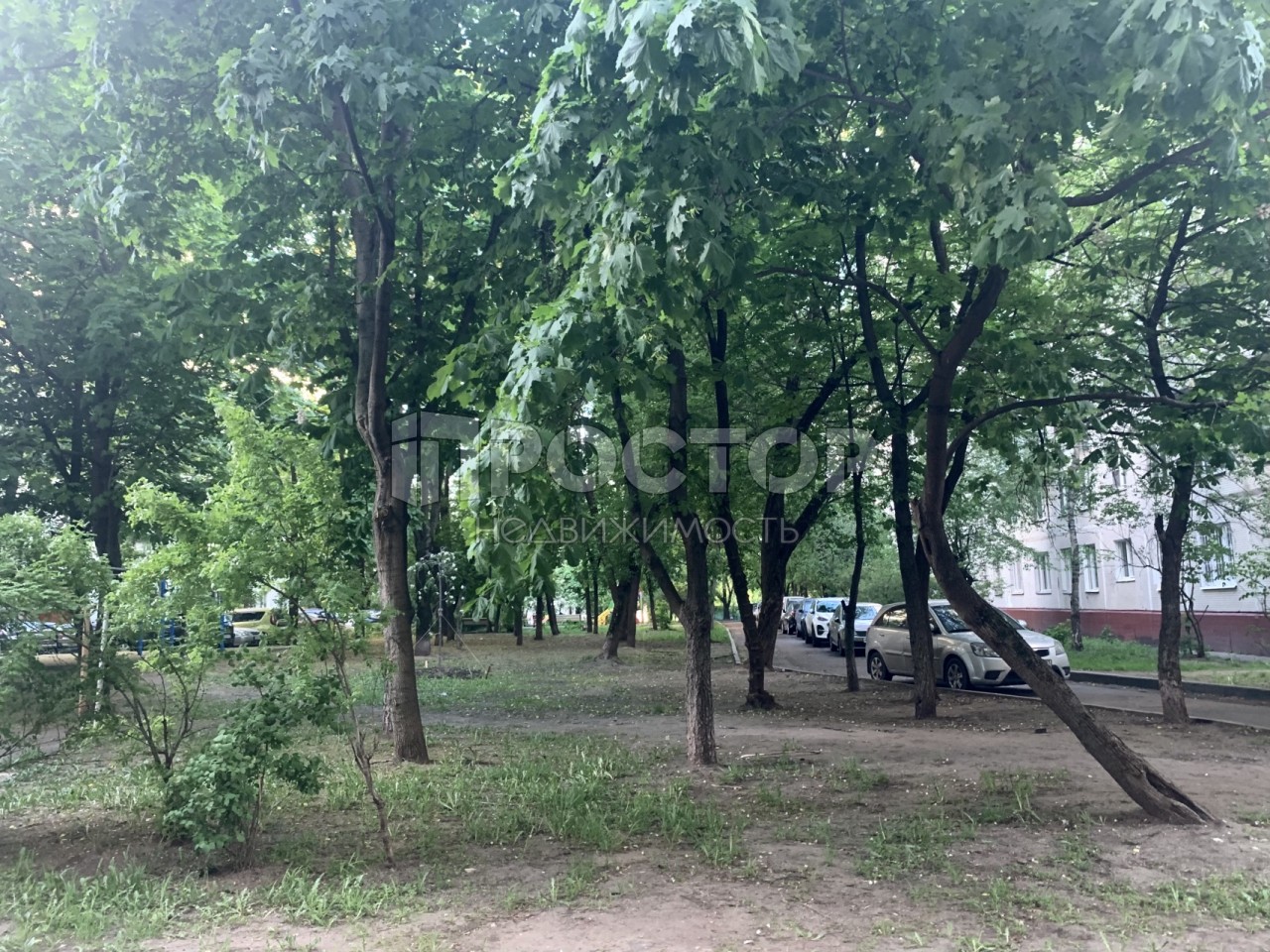 2-комнатная квартира, 51.3 м² - фото 3