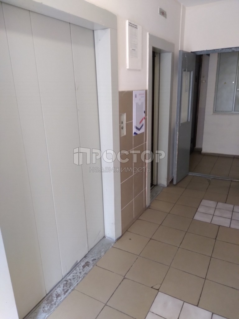 2-комнатная квартира, 51.5 м² - фото 5