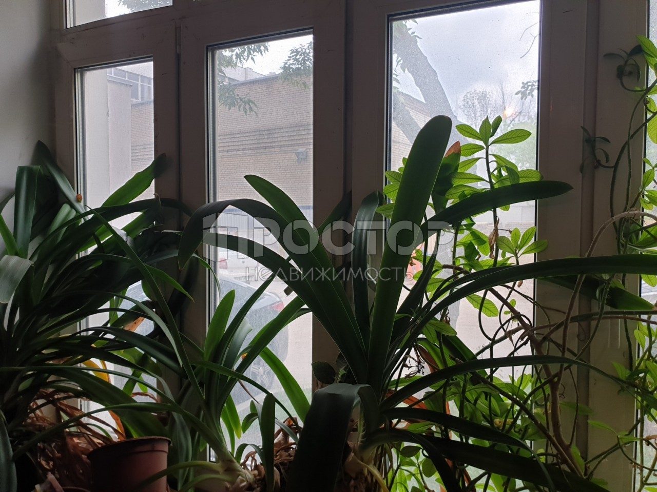 2-комнатная квартира, 54.5 м² - фото 3