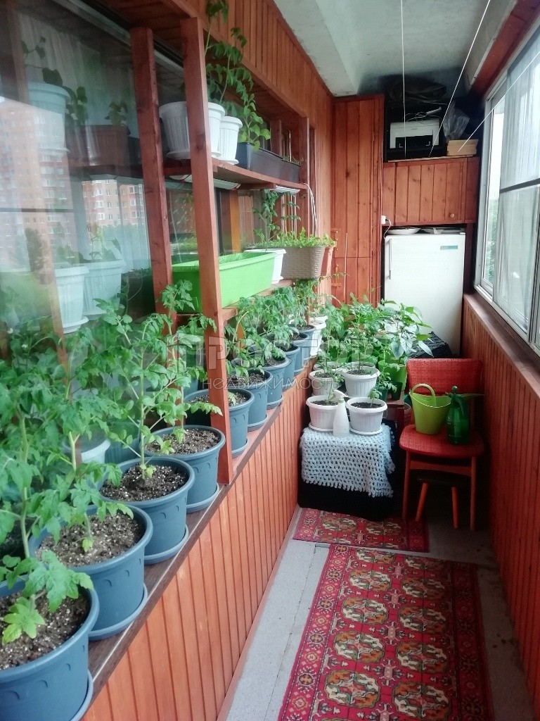 3-комнатная квартира, 73.4 м² - фото 8