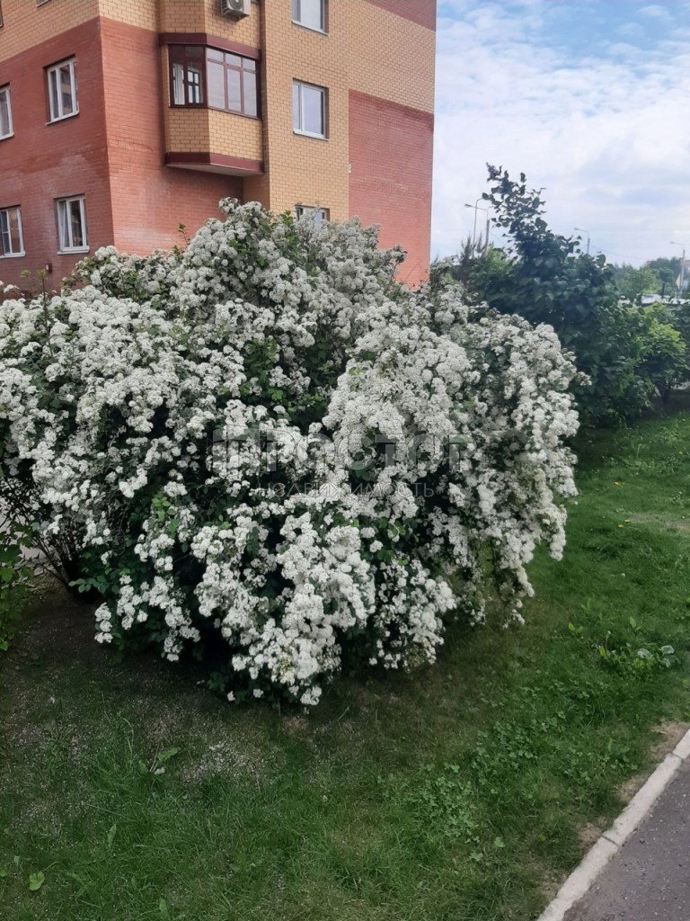1-комнатная квартира, 31 м² - фото 10