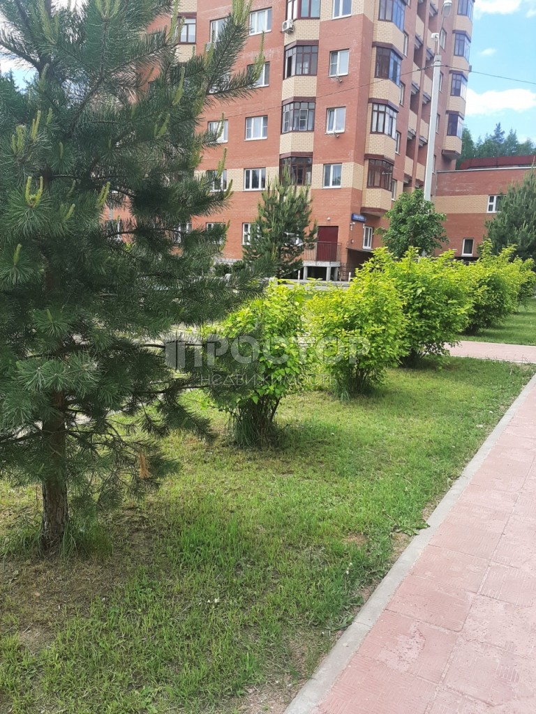 1-комнатная квартира, 31 м² - фото 4