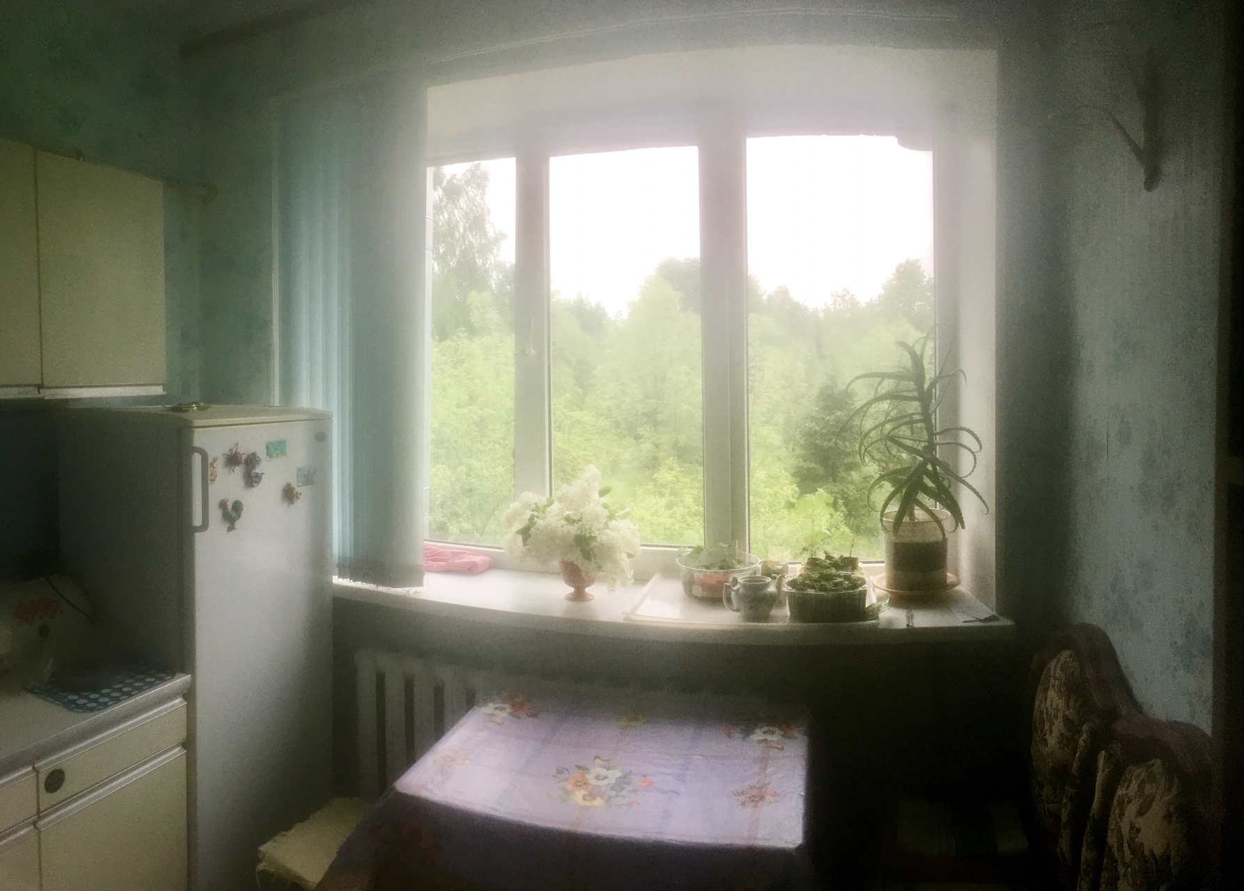 1-комнатная квартира, 27.9 м² - фото 2
