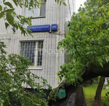 Купить квартиру