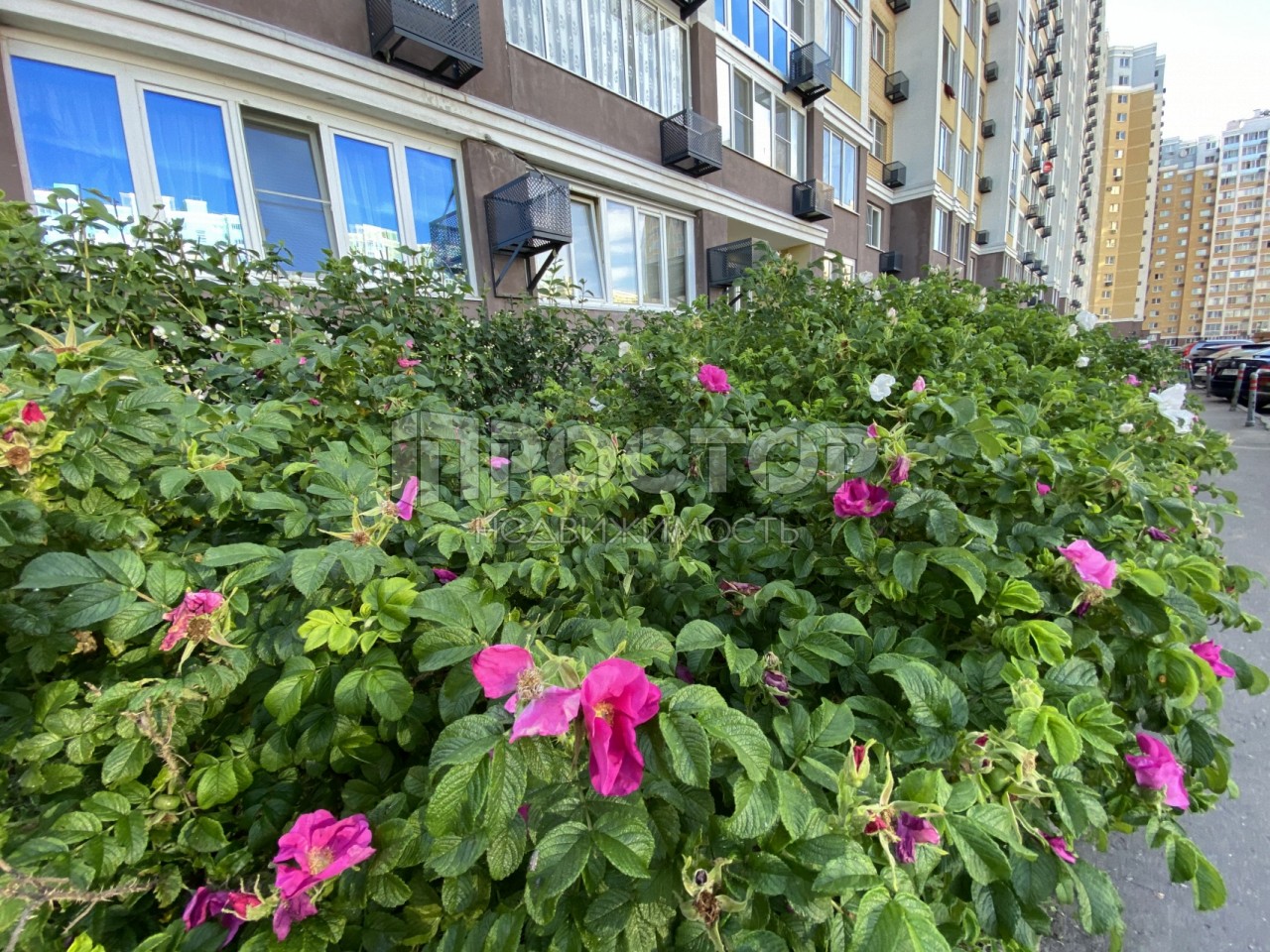 2-комнатная квартира, 52 м² - фото 17