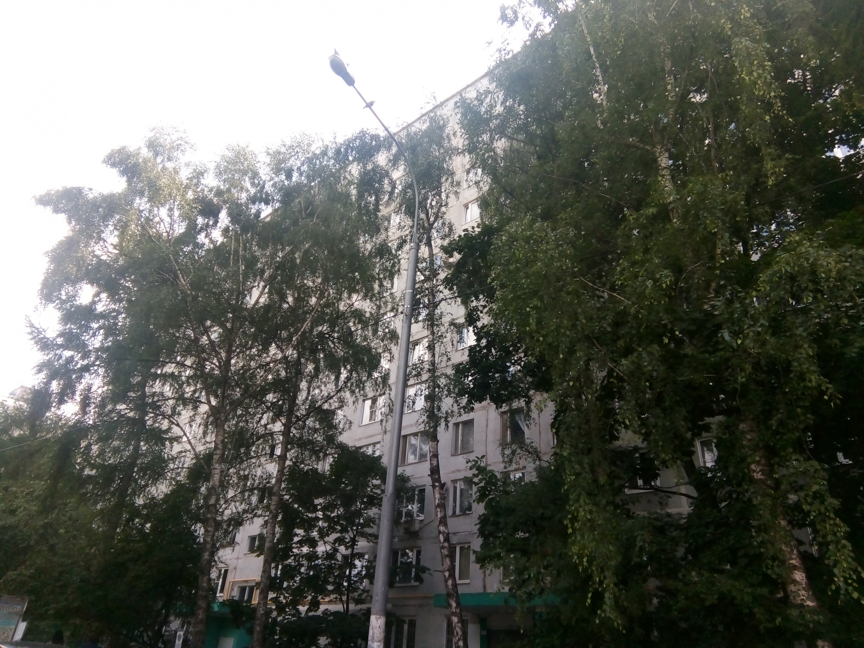 1-комнатная квартира, 32 м² - фото 4