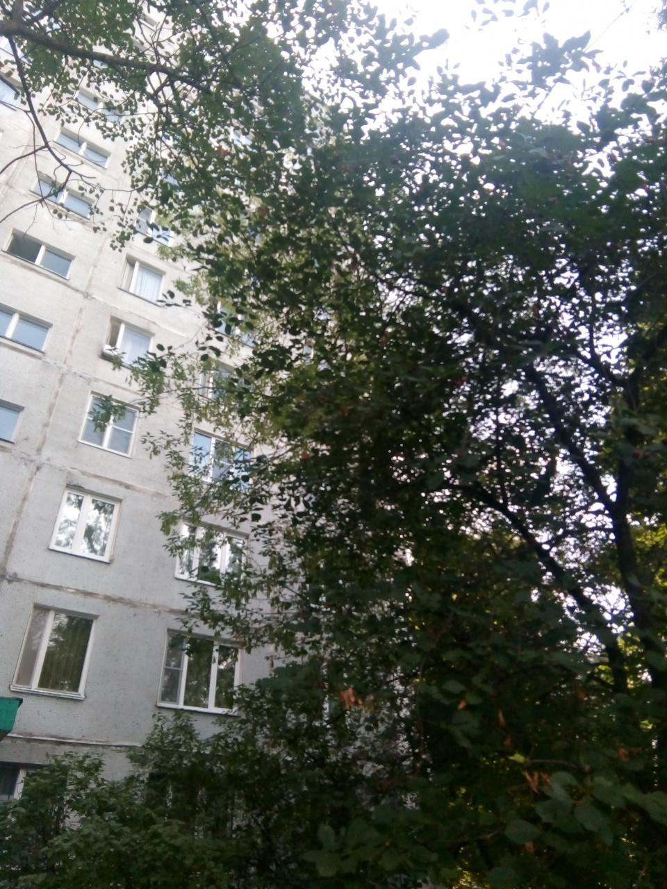 1-комнатная квартира, 32 м² - фото 3