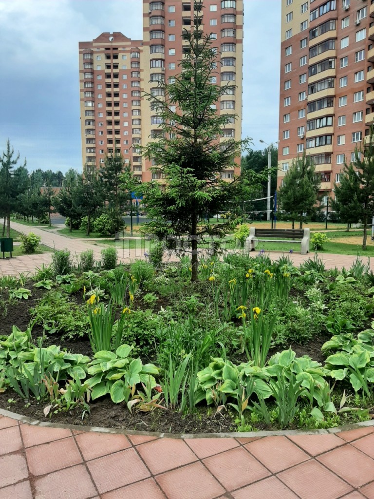 1-комнатная квартира, 33 м² - фото 14