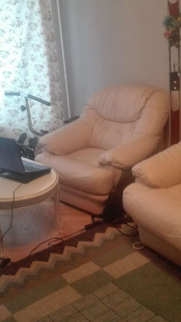 2-комнатная квартира, 44.5 м² - фото 4