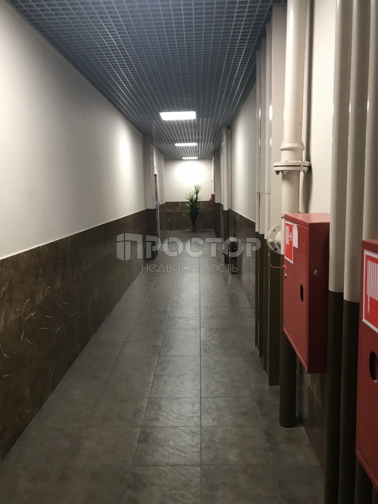 1-комнатная квартира, 50.6 м² - фото 5