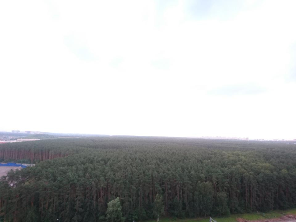 2-комнатная квартира, 50.9 м² - фото 17