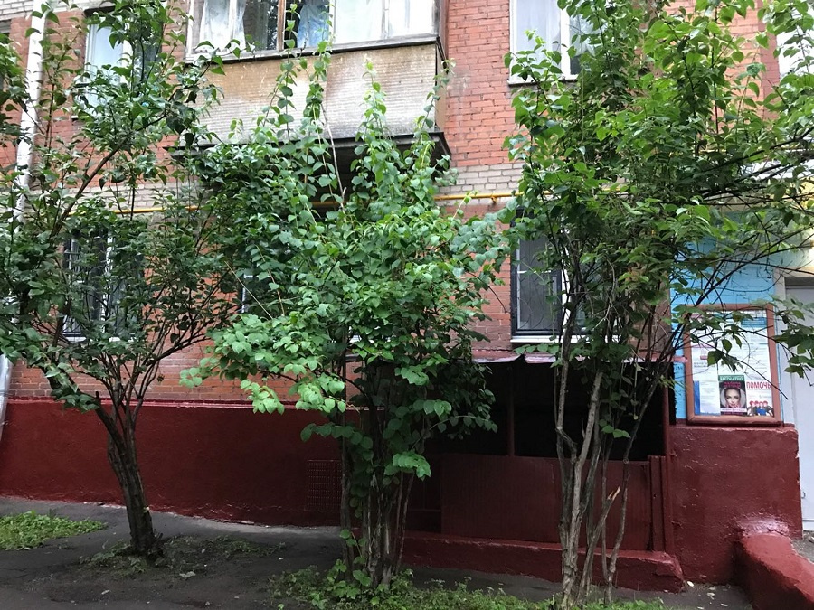 2-комнатная квартира, 43.3 м² - фото 3