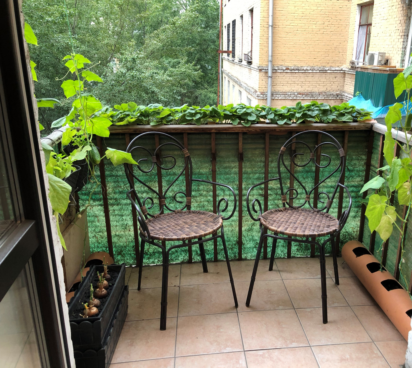 3-комнатная квартира, 75 м² - фото 7