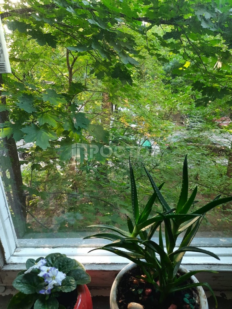 3-комнатная квартира, 58.4 м² - фото 6
