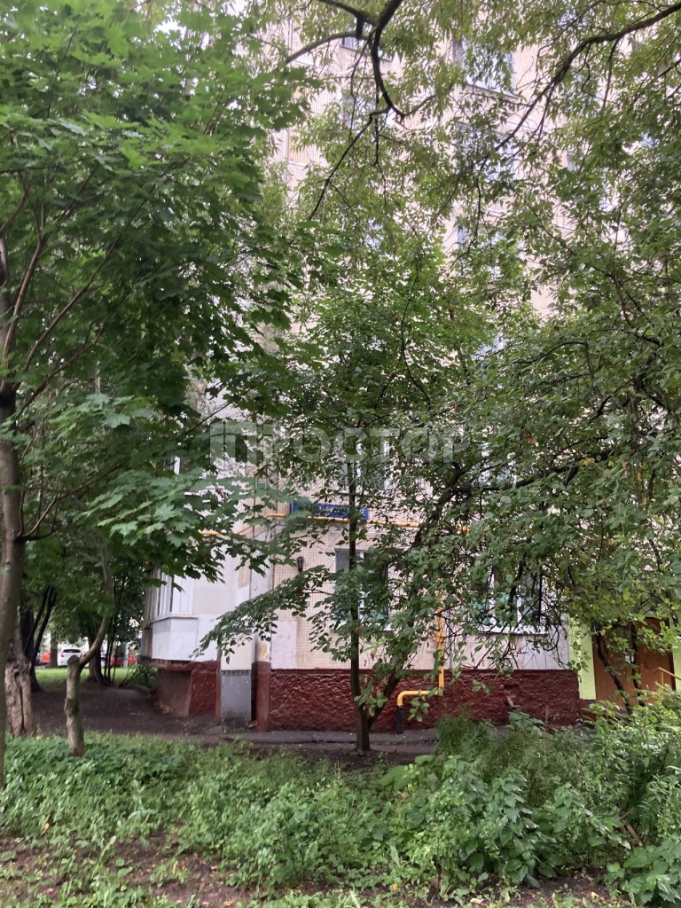 1-комнатная квартира, 32.3 м² - фото 3
