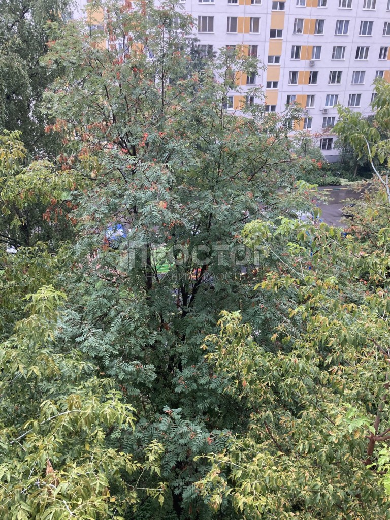 1-комнатная квартира, 32.3 м² - фото 13