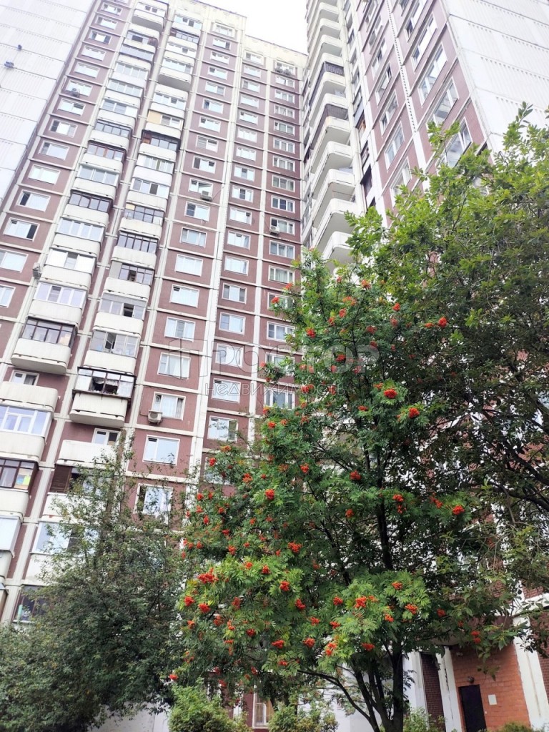 3-комнатная квартира, 79 м² - фото 3