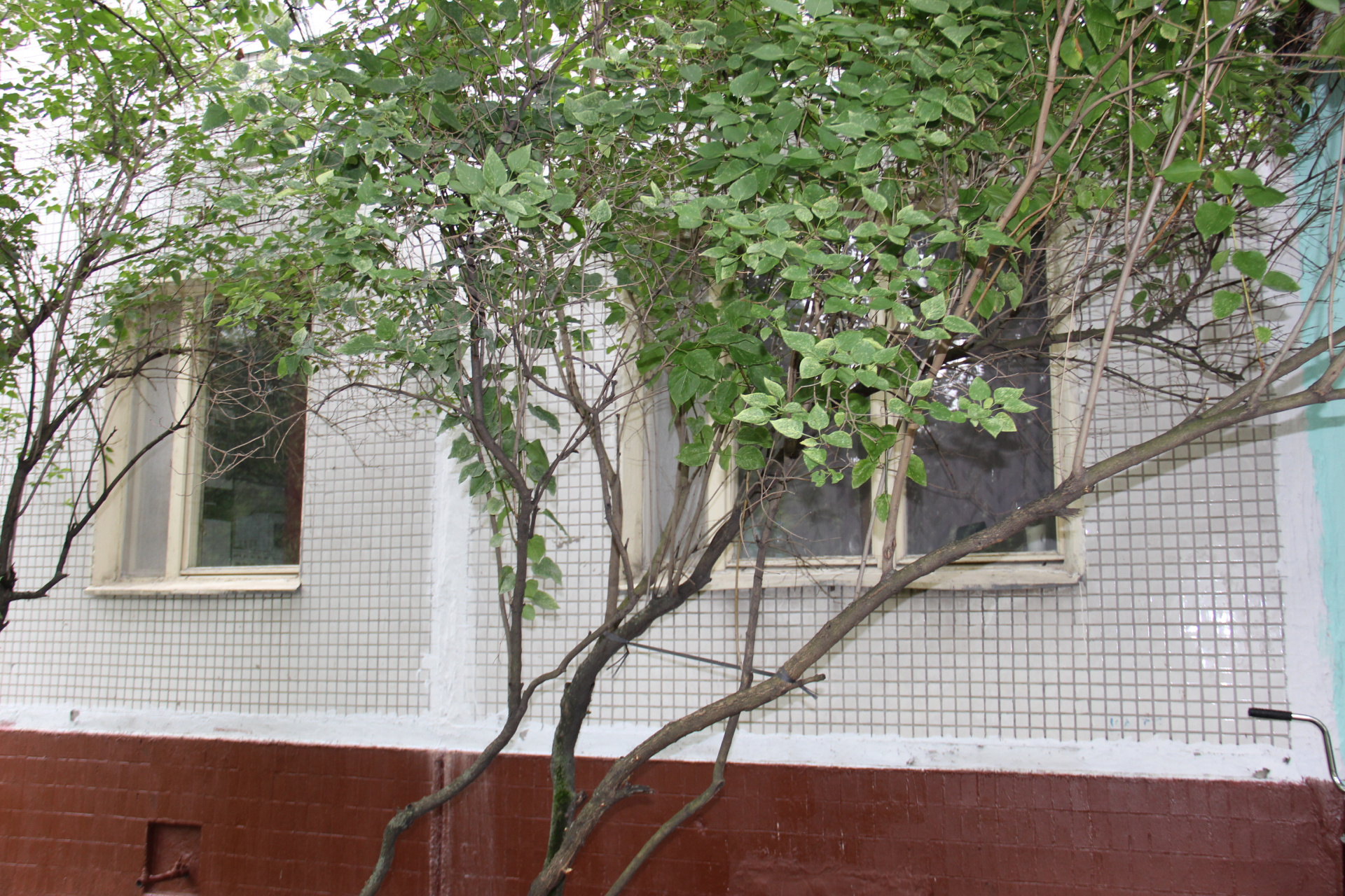 2-комнатная квартира, 47.9 м² - фото 9