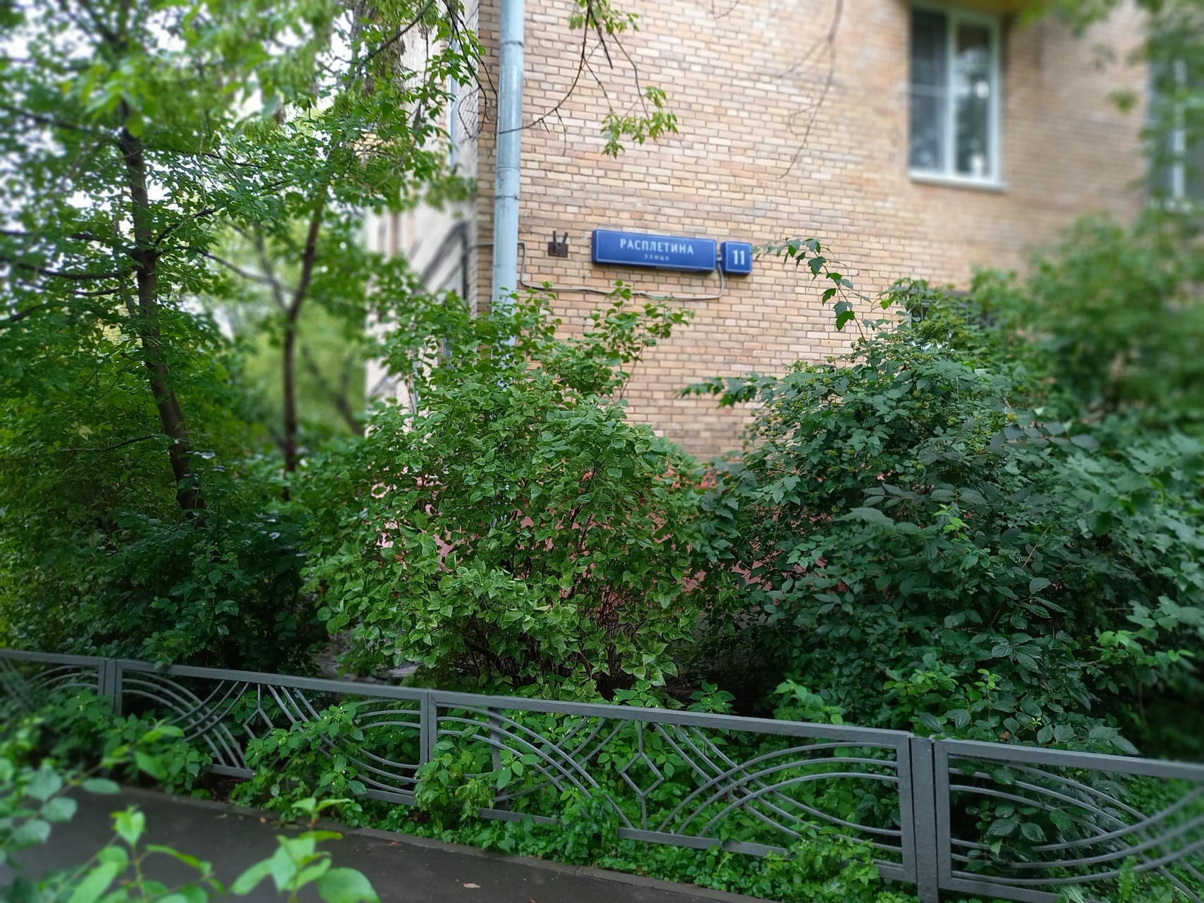 2-комнатная квартира, 54.3 м² - фото 3