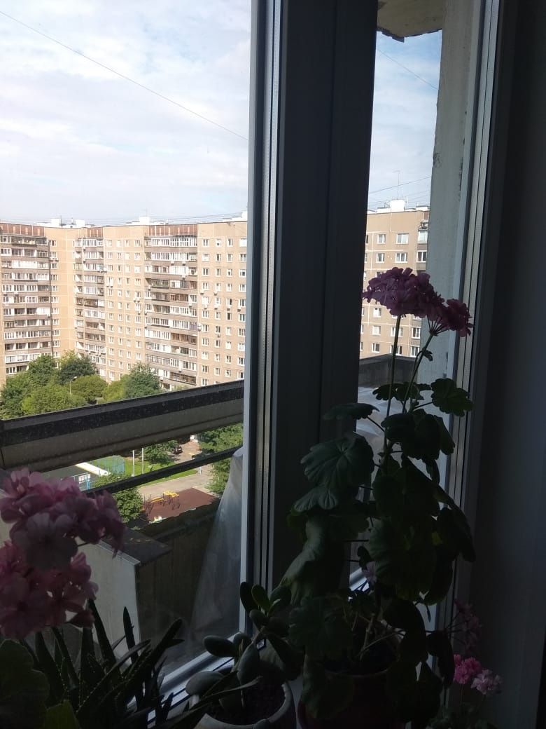 3-комнатная квартира, 74 м² - фото 15