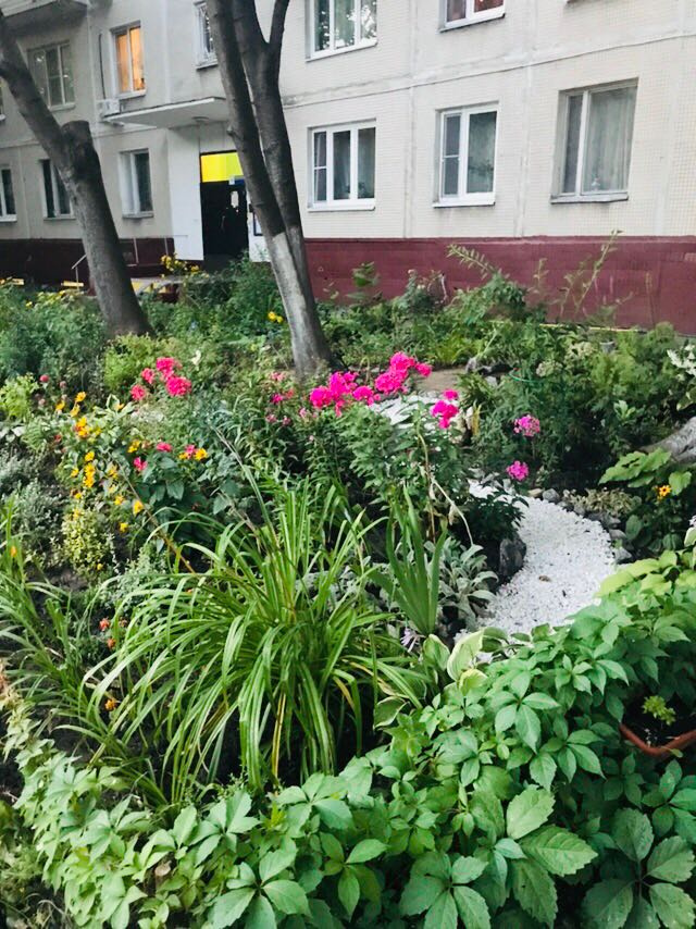 1-комнатная квартира, 29 м² - фото 9
