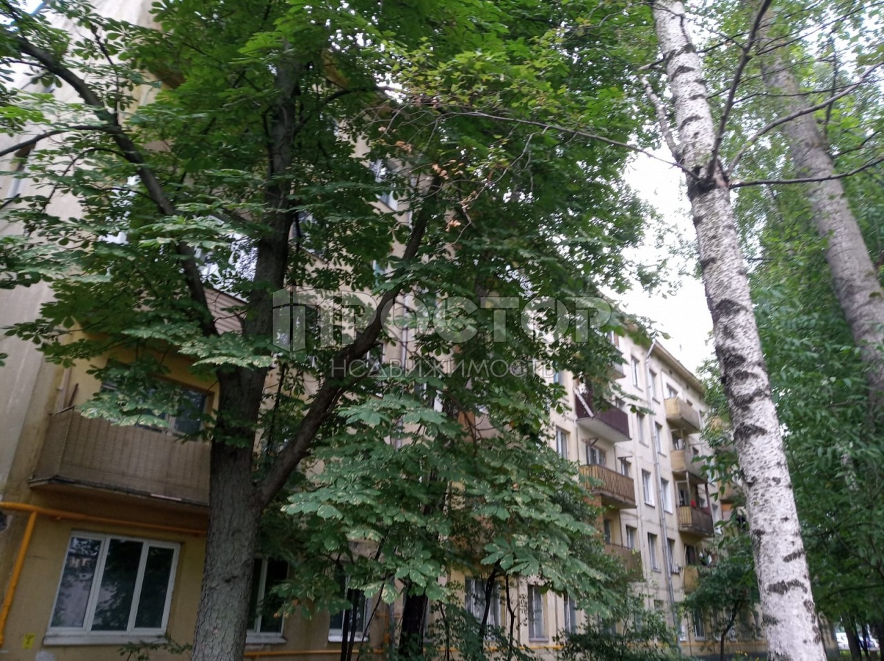 2-комнатная квартира, 46 м² - фото 2