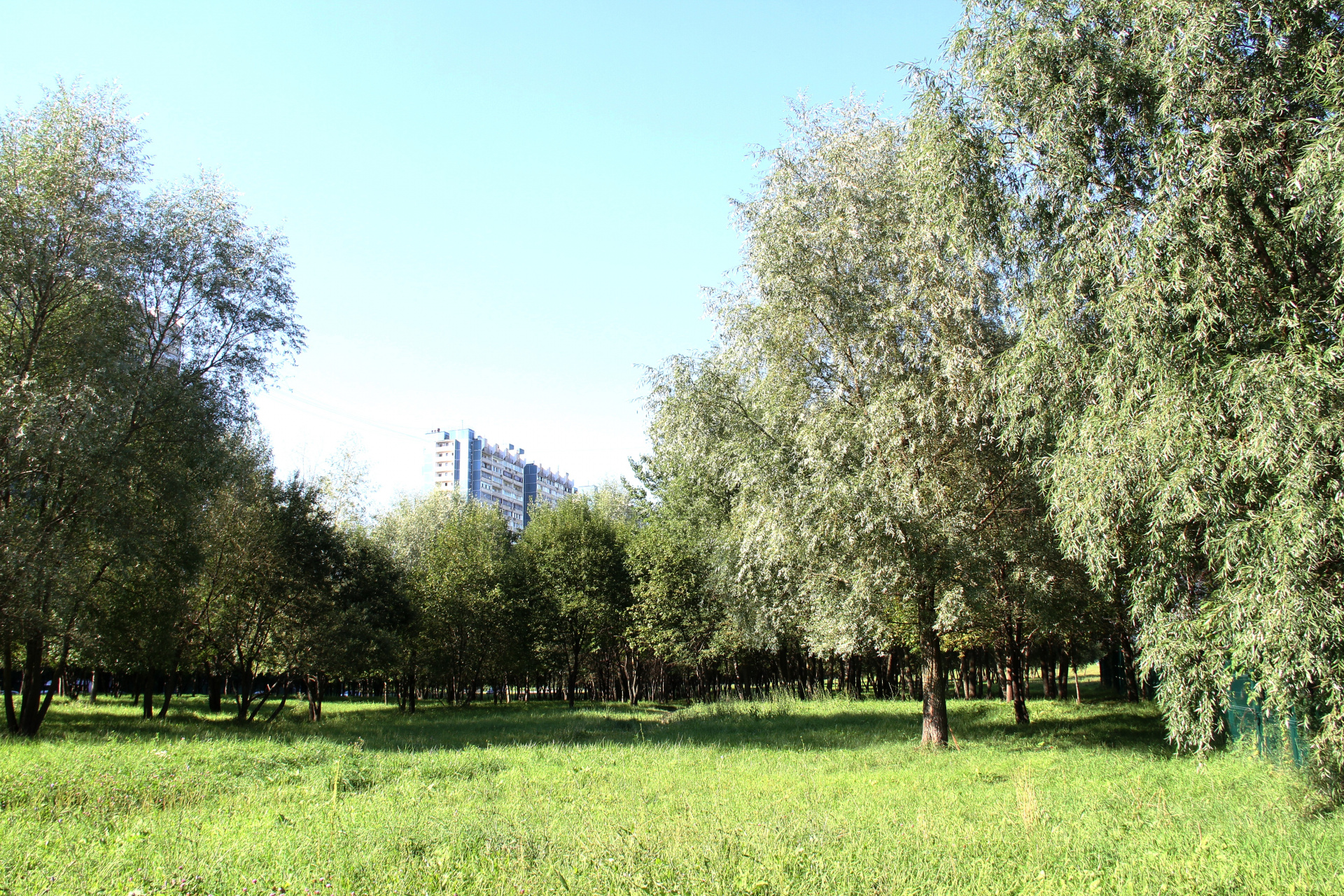 2-комнатная квартира, 70 м² - фото 23