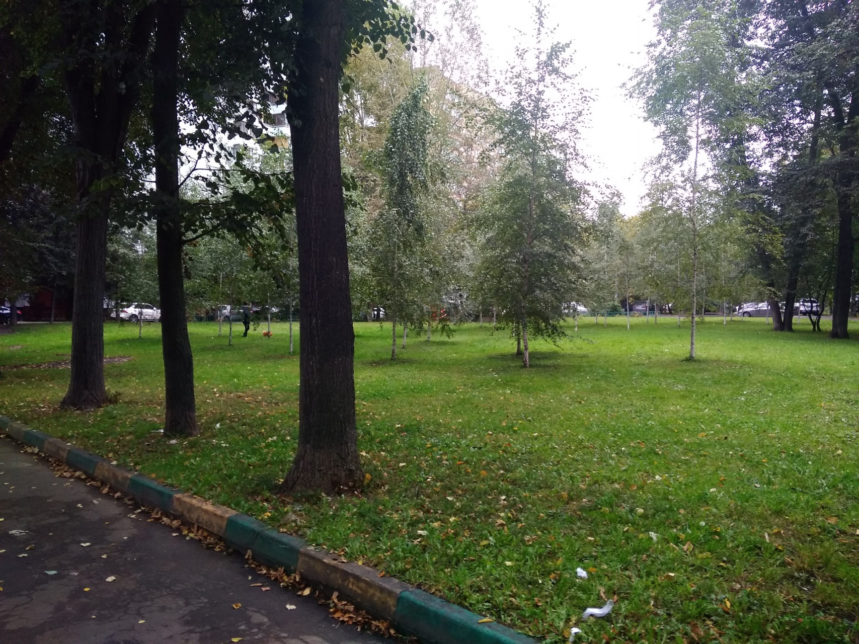 2-комнатная квартира, 56.2 м² - фото 5