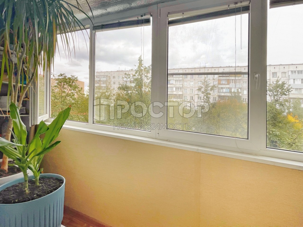 2-комнатная квартира, 50.9 м² - фото 3