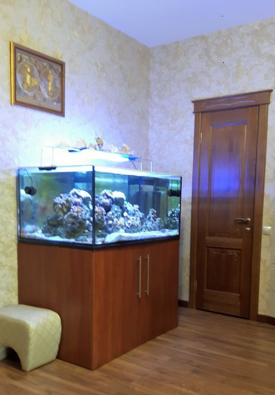 6-комнатная квартира, 347.8 м² - фото 6