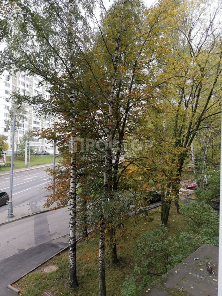 Студия, 18.1 м² - фото 10