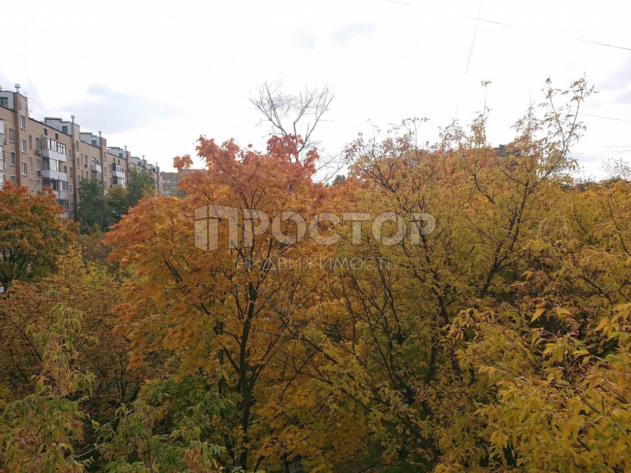2-комнатная квартира, 51.5 м² - фото 8