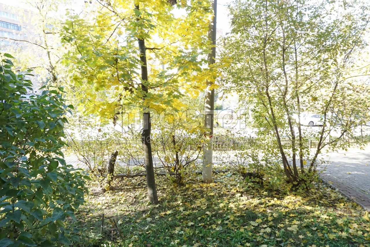 1-комнатная квартира, 35 м² - фото 13
