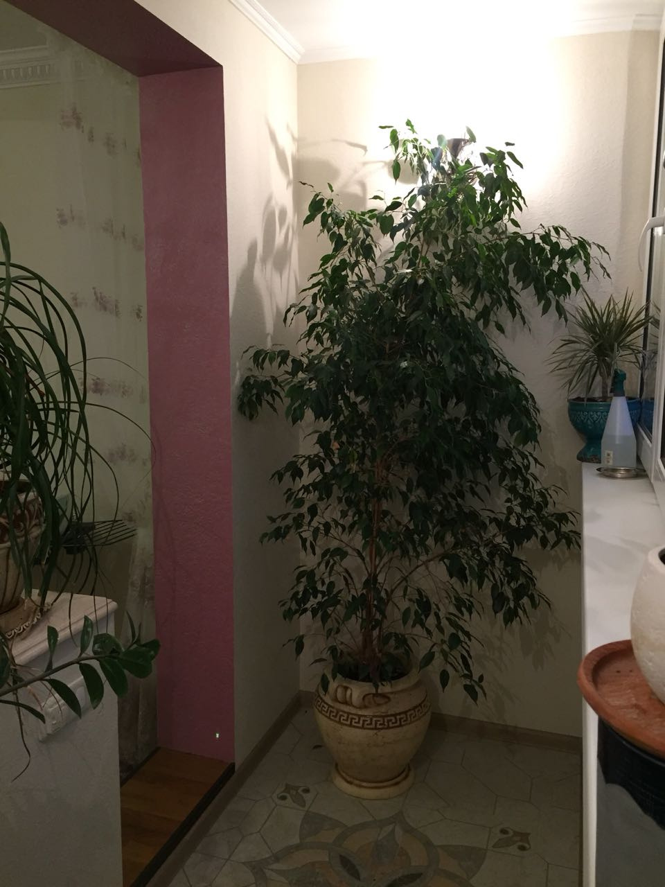 3-комнатная квартира, 74.5 м² - фото 15