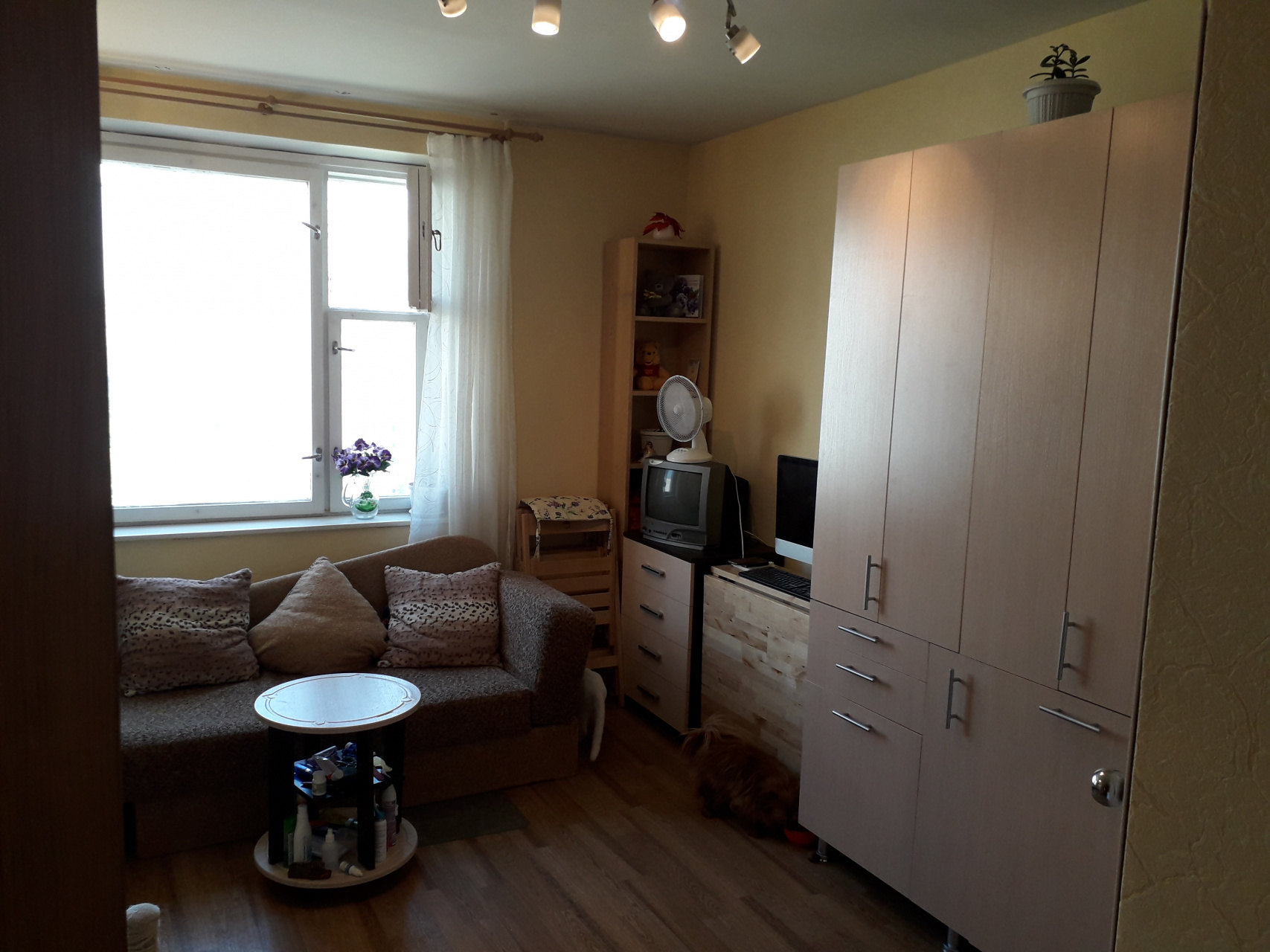 0-комнатная квартира, 13 м² - фото 8