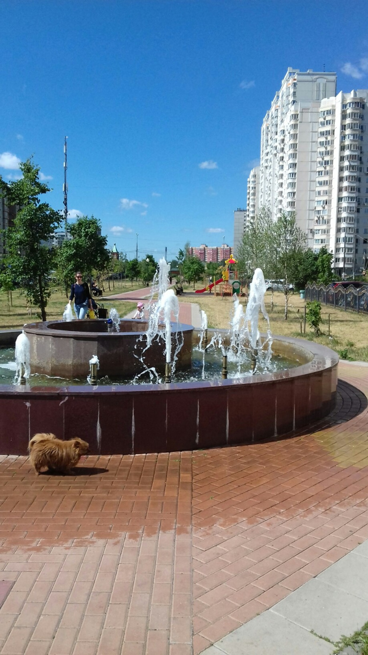 0-комнатная квартира, 13 м² - фото 11