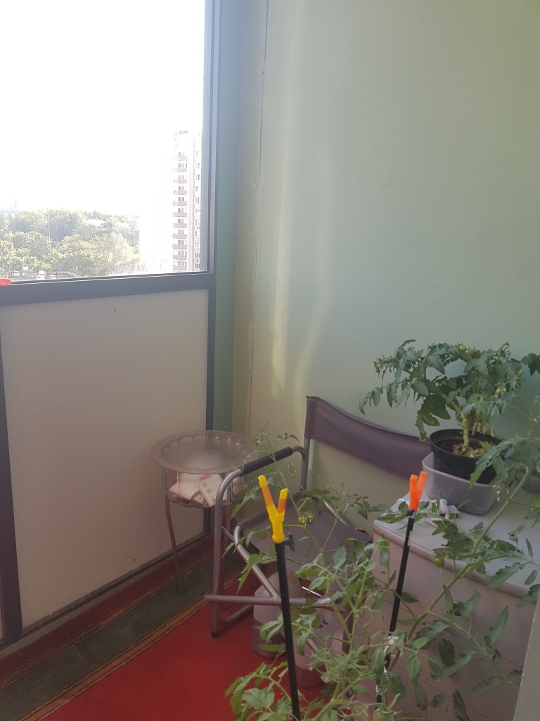 2-комнатная квартира, 44.5 м² - фото 3