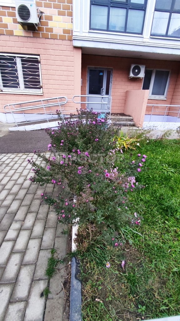 2-комнатная квартира, 66.1 м² - фото 27