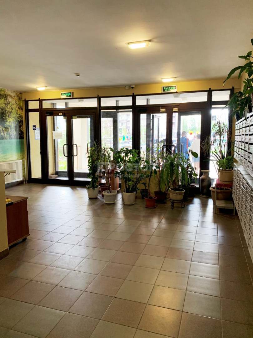 Студия, 31.7 м² - фото 13