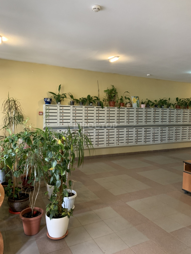 Студия, 31.7 м² - фото 12