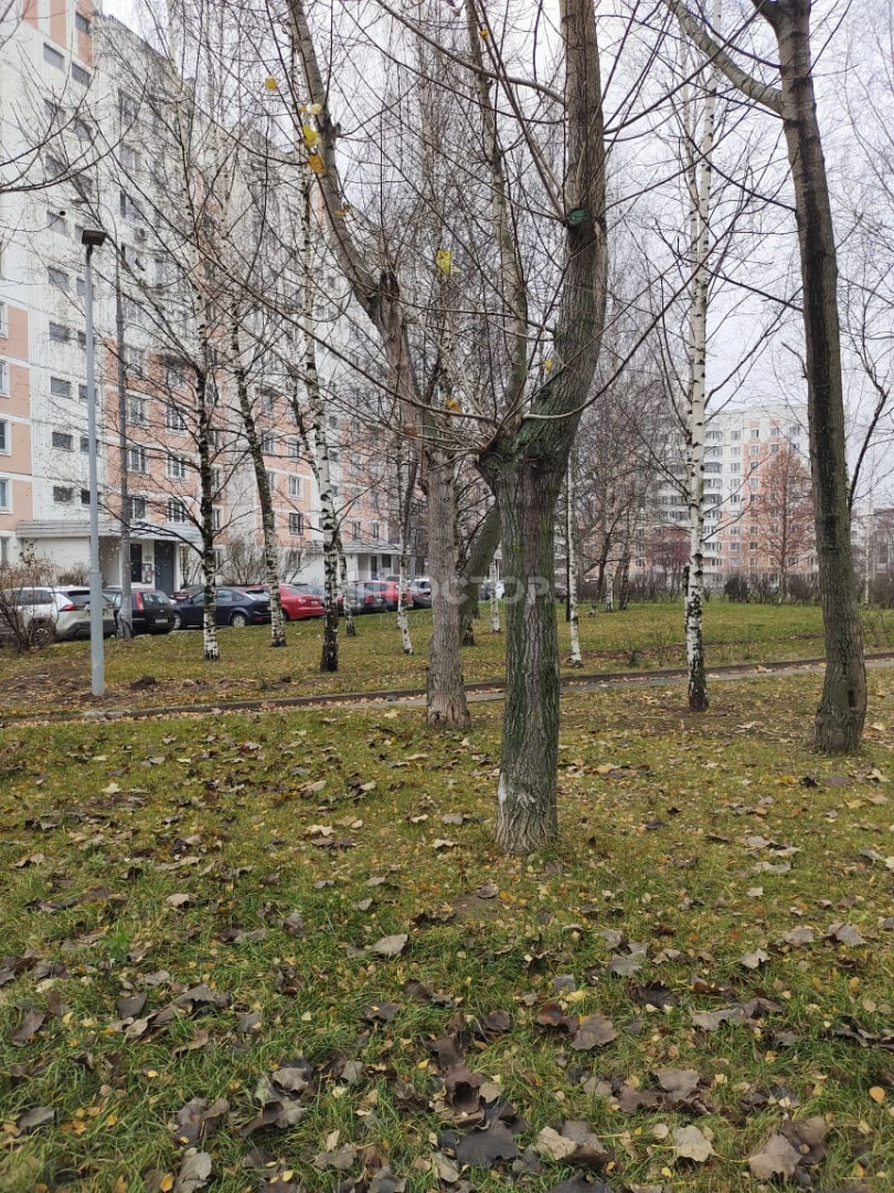 2-комнатная квартира, 54.4 м² - фото 3