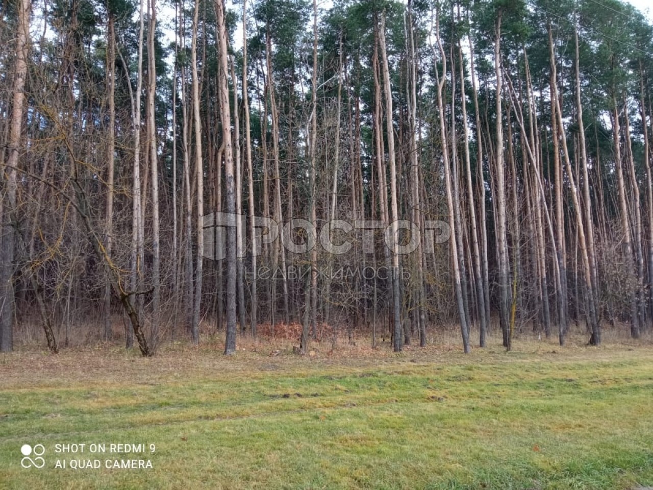 1-комнатная квартира, 33.1 м² - фото 5